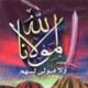 الصورة الرمزية حفيدة الحميراء