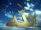 الصورة الرمزية نور الدجى