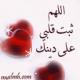 الصورة الرمزية زهرة الإسلام